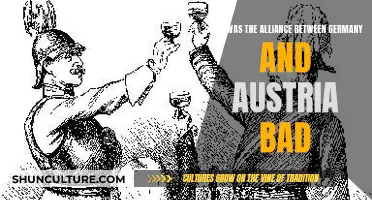 The Dangerous Alliance: Germany and Austria's Misguided Pact