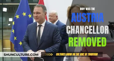Austria's Chancellor: Ousted Over Corruption Scandal