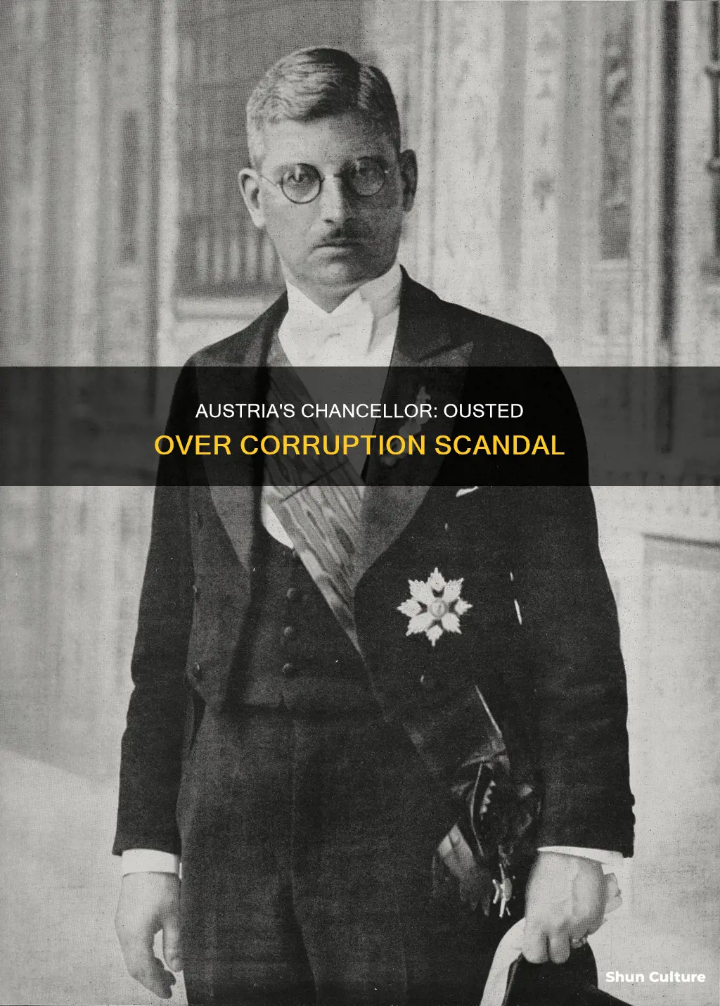 why was the austria chancellor removed