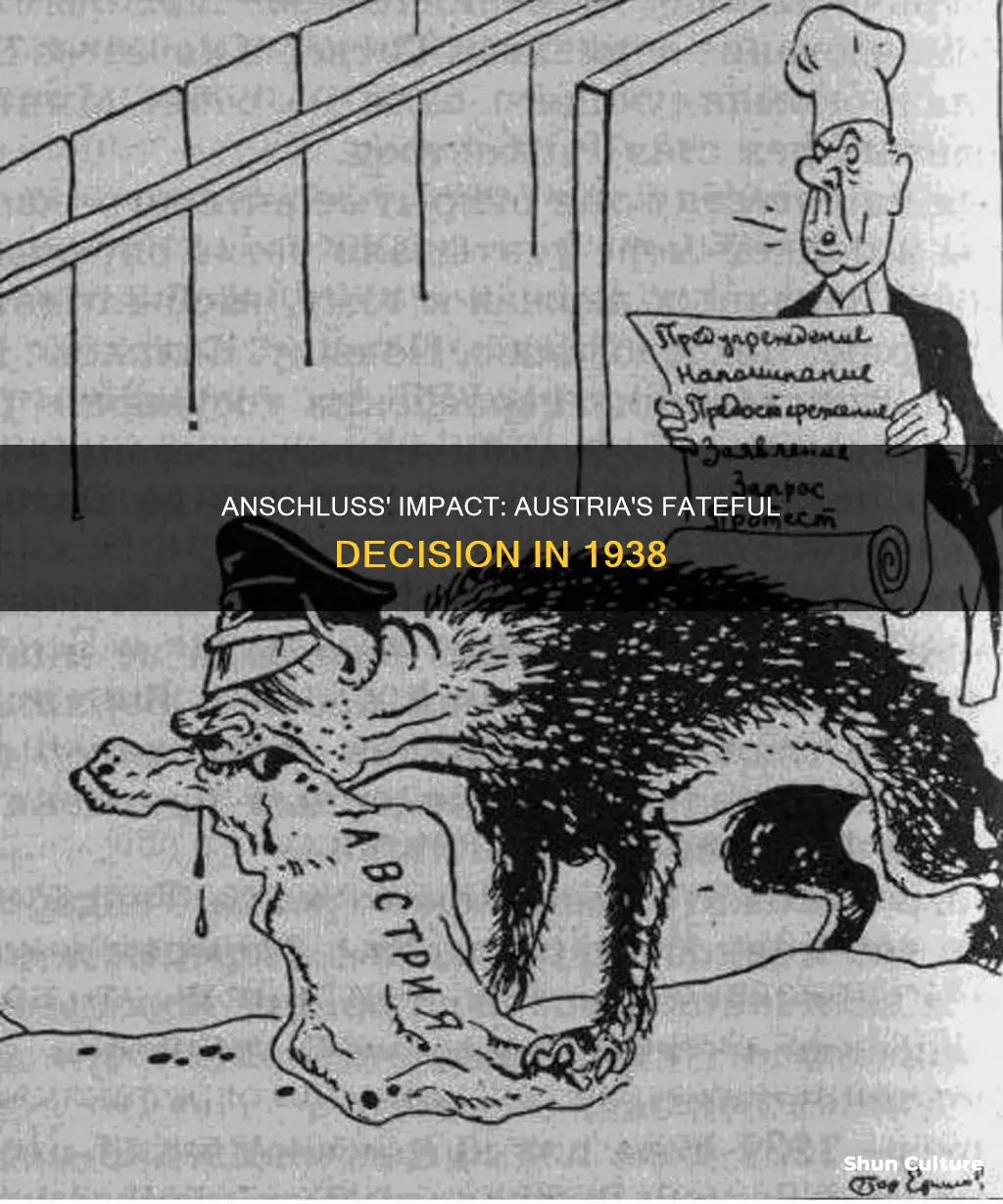 why was the austrian anschluss in 1938 most important