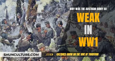 Austria's Army in WWI: Weaknesses and Failures
