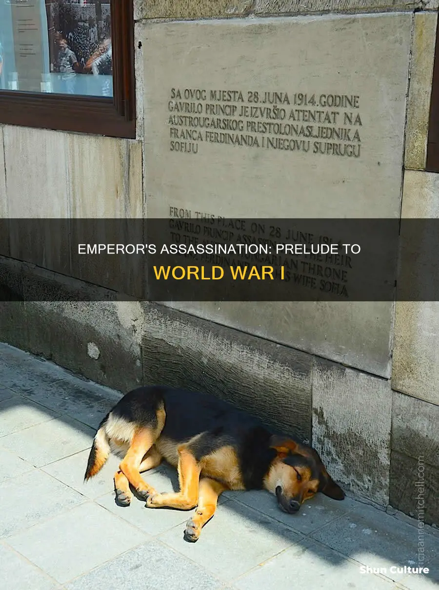 why was the austrian emperor shot before world war i