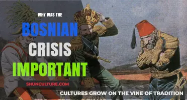 The Bosnian Crisis: A Catalyst for World War I