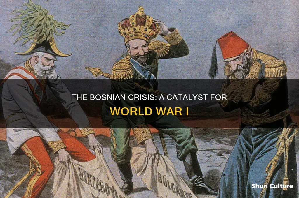 why was the bosnian crisis important