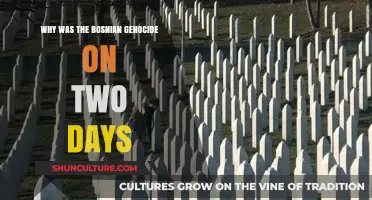 The Bosnian Genocide: Unraveling the Two-Day Srebrenica Massacre