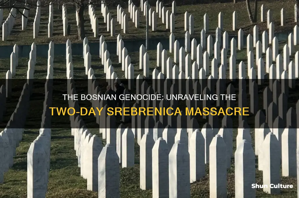 why was the bosnian genocide on two days