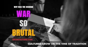 The Brutality of the Bosnian War: Unraveling the Devastating Conflict