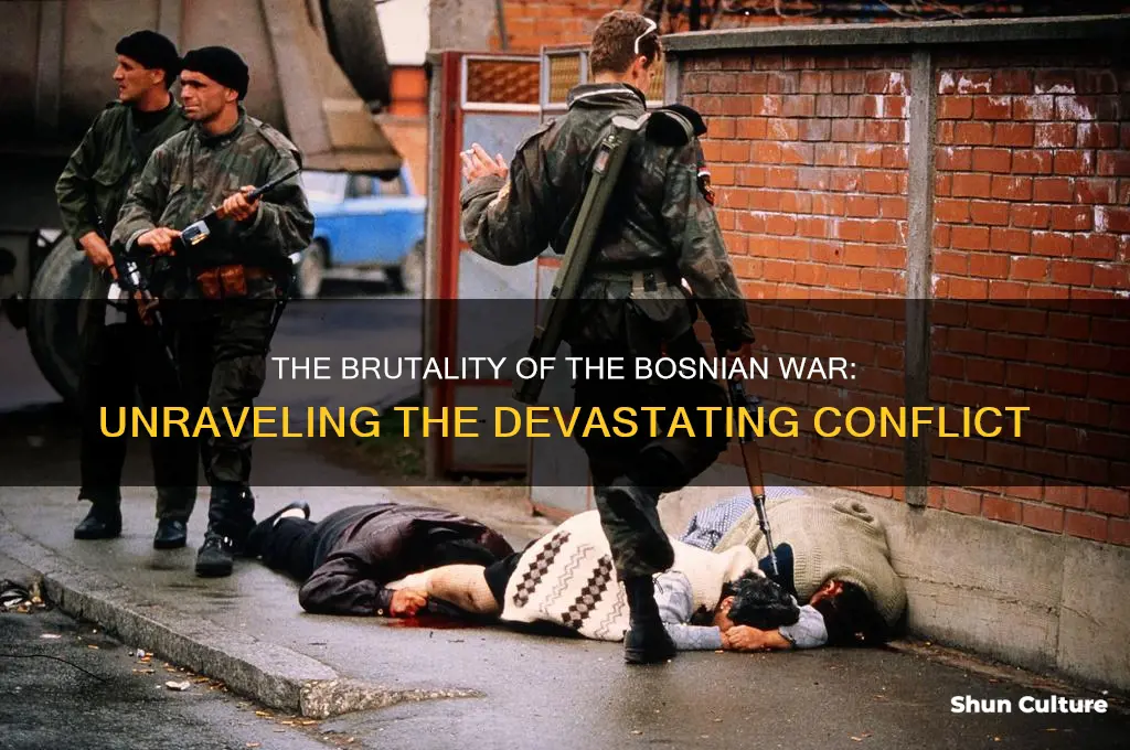 why was the bosnian war so brutal