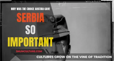 Austria's Ultimatum: A Fateful Choice for Serbia
