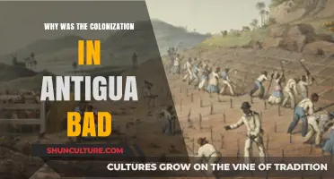 The Devastating Impact of Colonialism on Antigua's People and Culture