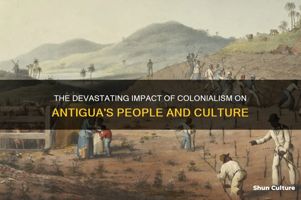 why was the colonization in antigua bad