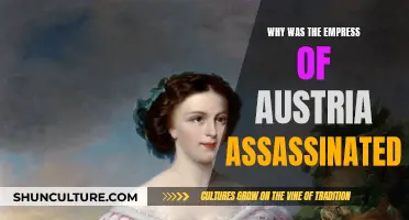 The Empress's Assassination: Unraveling Austria's Historical Mystery