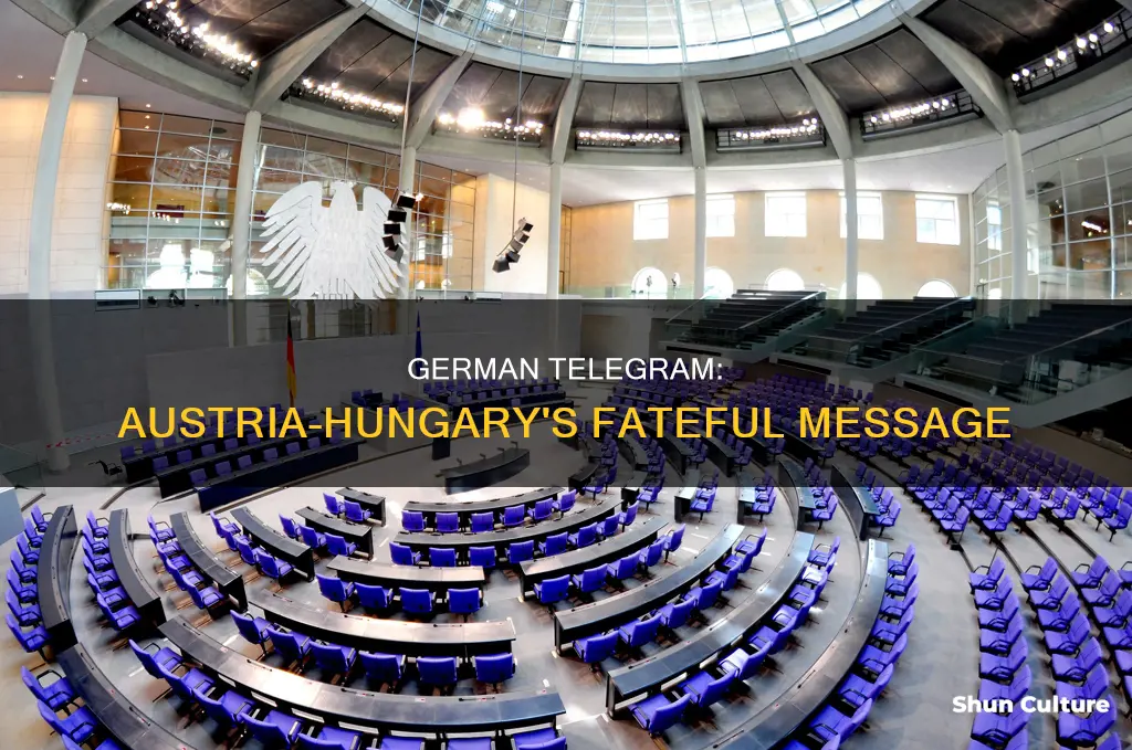 why was the german telegram to austria hungary important