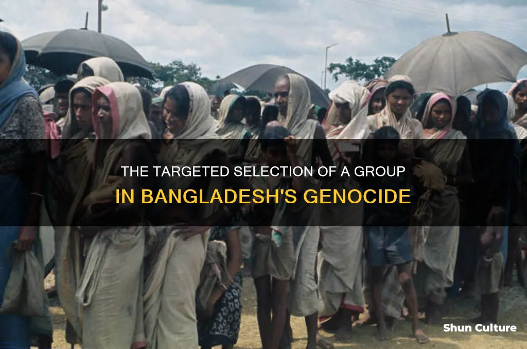 why was the particular group selected for bangladesh genocide