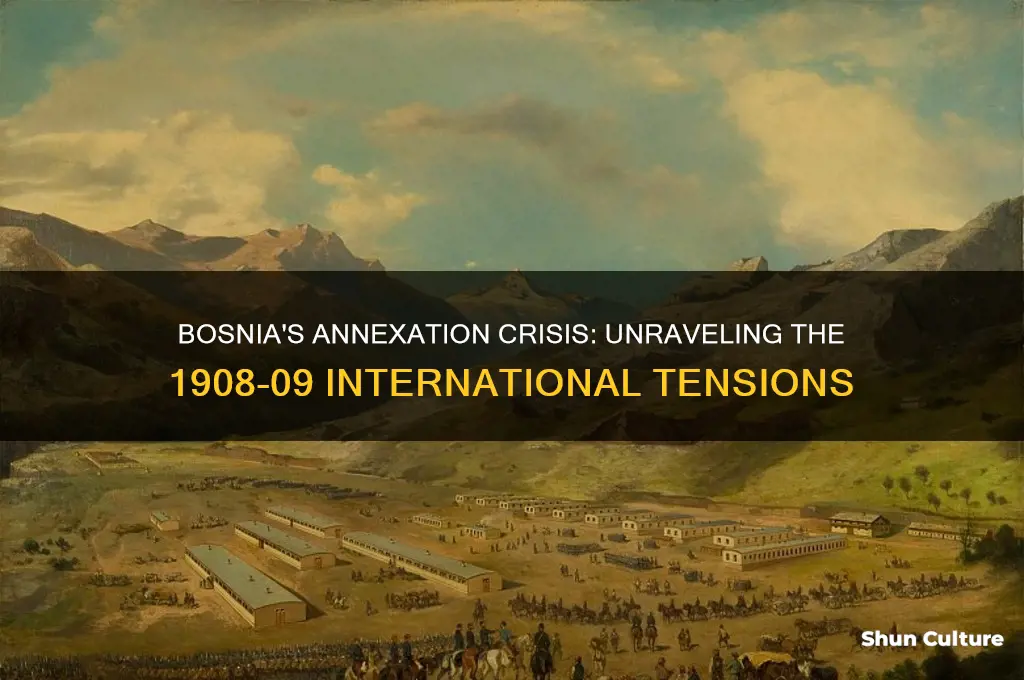 why was there a crisis over bosnia in 1908-09
