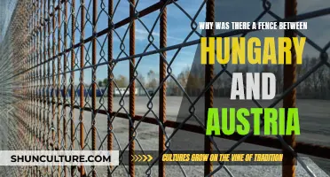 Hungary-Austria Fence: Why It Was Erected