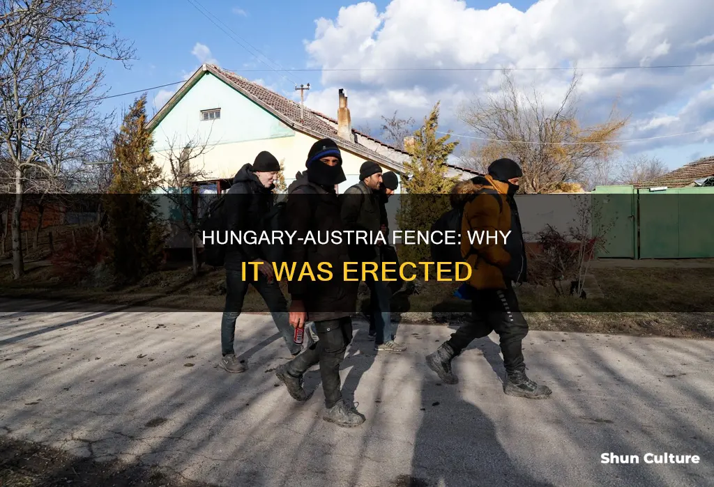 why was there a fence between hungary and austria