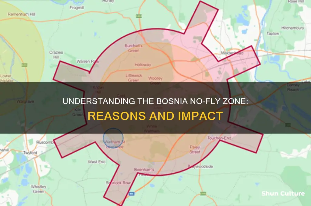 why was there a no fly zone over bosnia