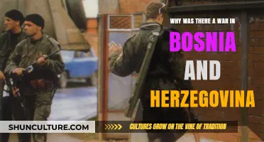 The Complex Origins of the Bosnian War: A Historical Analysis