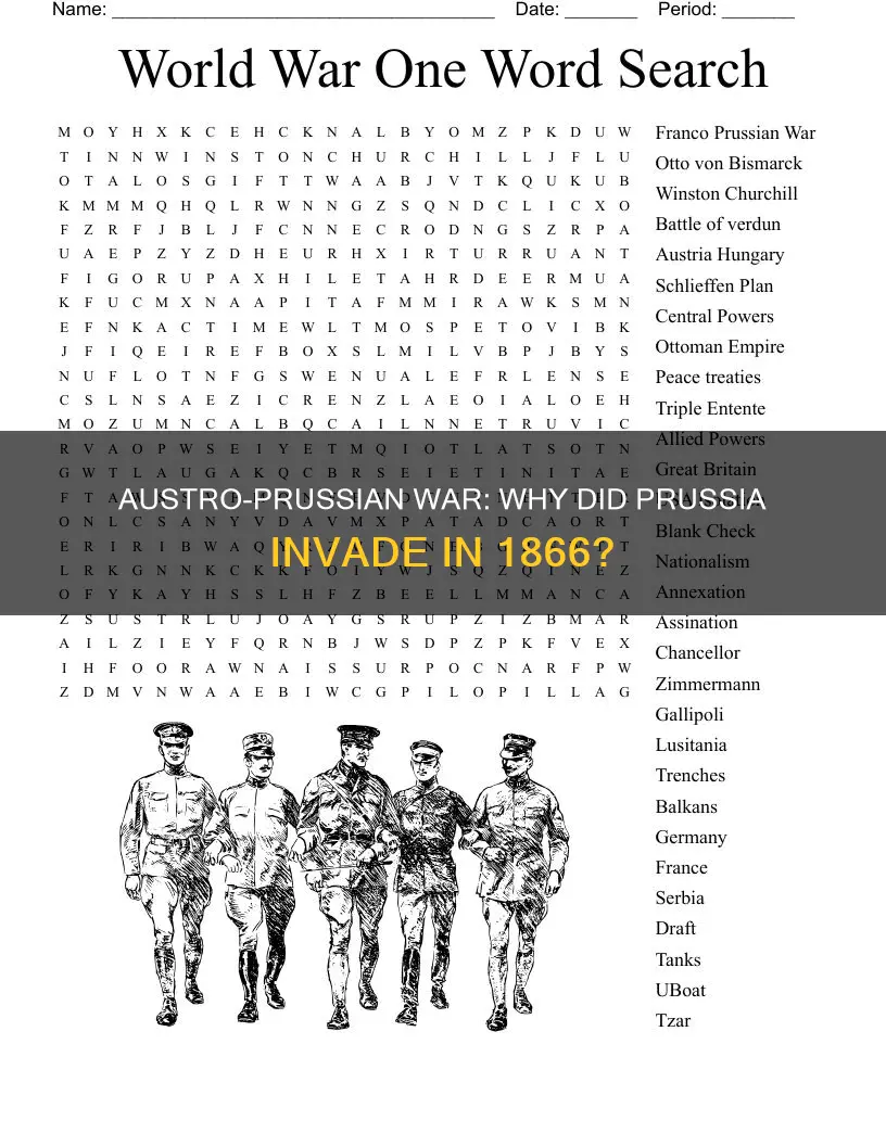 why was there a war with austria in 1866