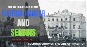 Hostility Between Austria-Hungary and Serbia: What Caused It?
