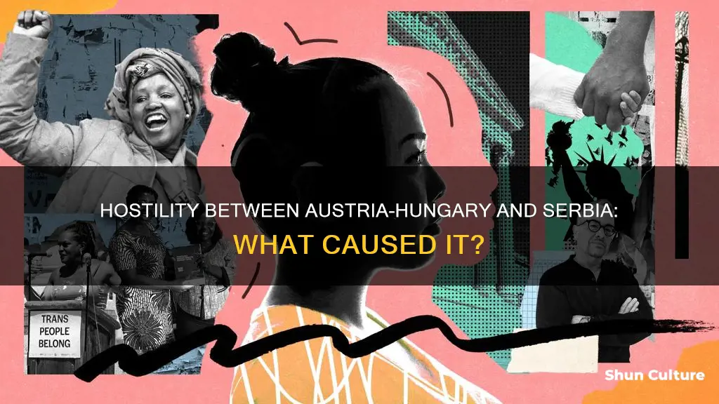 why was there hostility between austria-hungary and serbbis