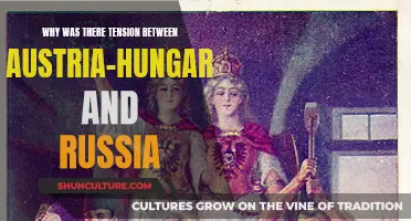 Tensions Between Austria-Hungary and Russia: What Caused Them?