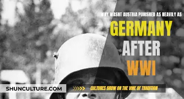 Austria's Lighter Punishment: Why Was It Spared Post-WWI?