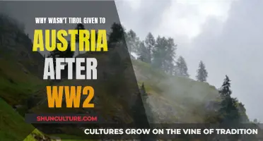 Austria's Unclaimed Territory: Why No Post-War Tirol Reunion?