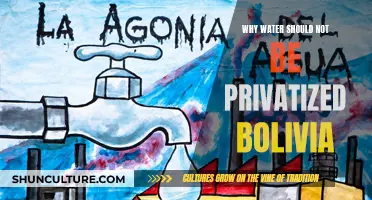 Water Privatization: Bolivia's Battle for Their Basic Right