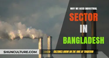 Industrial Sector in Bangladesh: Driving Economic Growth and Development