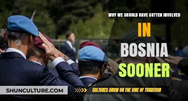 Bosnia's Tragedy: The Cost of Delayed International Intervention