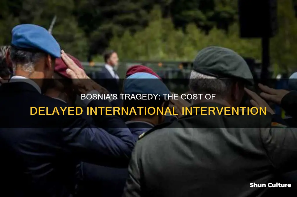 why we should have gotten involved in bosnia sooner