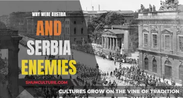 Serbia, Austria, and the Road to World War I