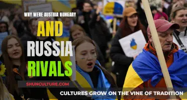 Austria-Hungary and Russia: A Complex Rivalry Explained