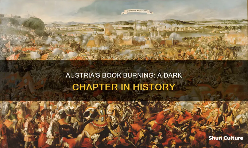 why were books burned in austria