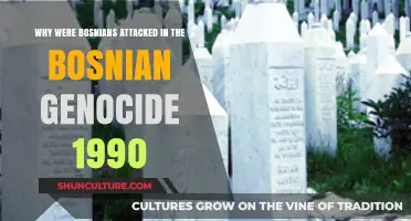 The Bosnian Genocide: Unraveling the Roots of Ethnic Violence in 1990s