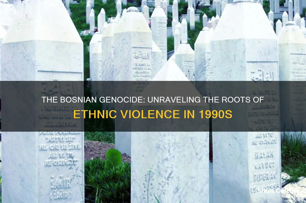 why were bosnians attacked in the bosnian genocide 1990