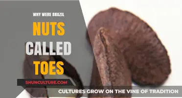 Why Brazil Nuts Were Nicknamed 'Toes': A Nutty History Explained
