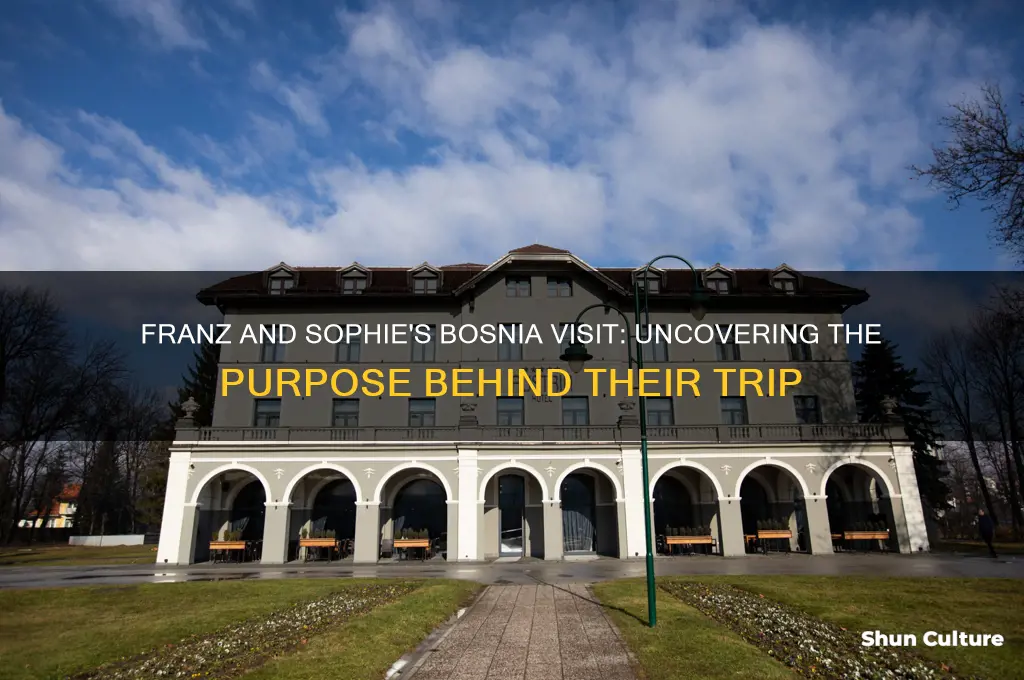 why were franz and sophie visiting bosnia