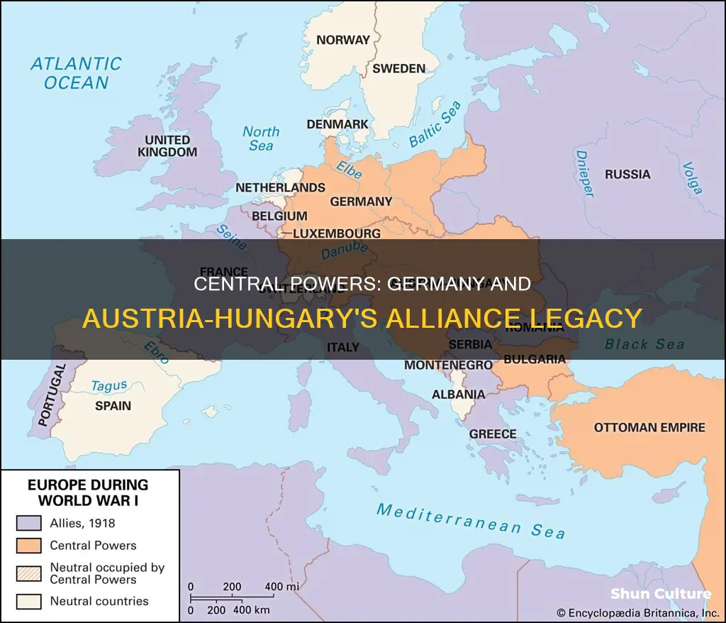 why were germany and austria-hungary known as central powers