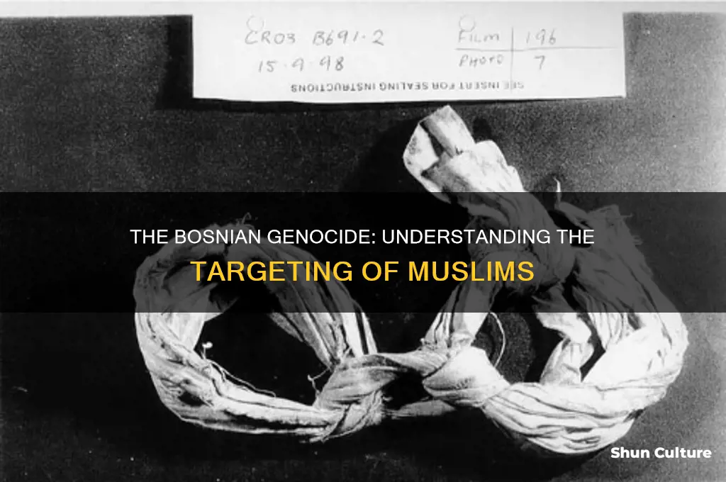 why were muslims targeted in the bosnian genocide