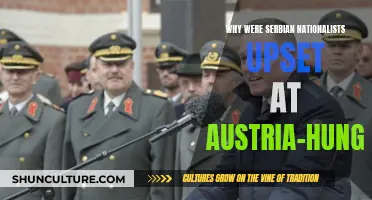 Serbian Nationalists: Austria-Hungary's Unwanted Rule and Influence