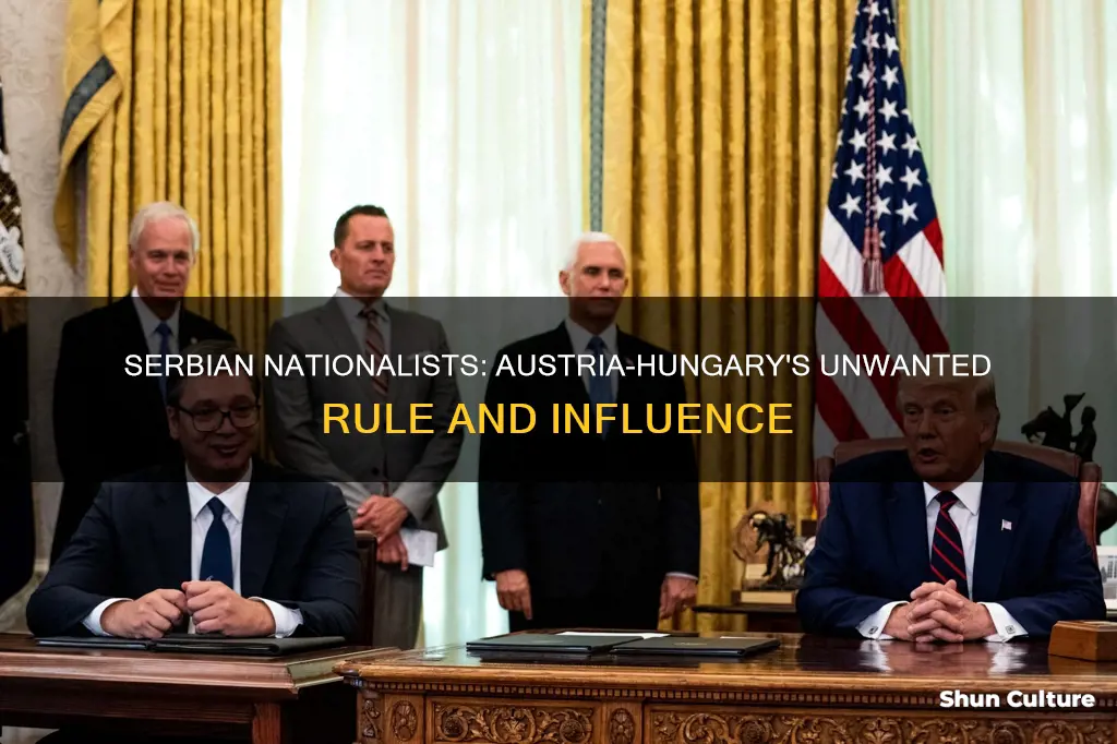 why were serbian nationalists upset at austria-hungary