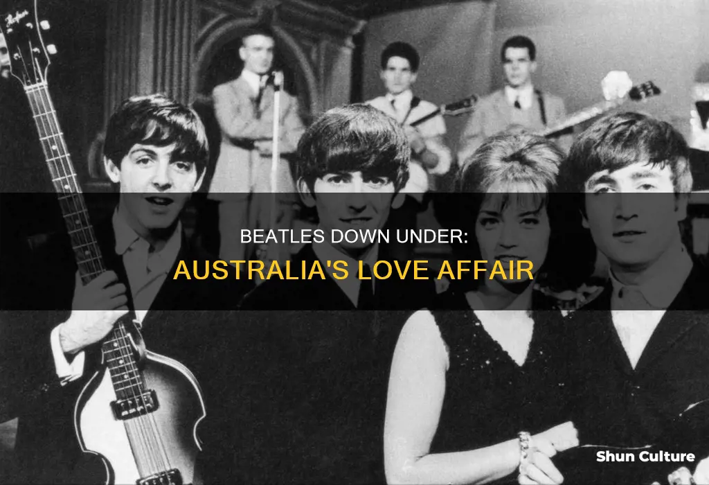 why were the beatles so popular in australia