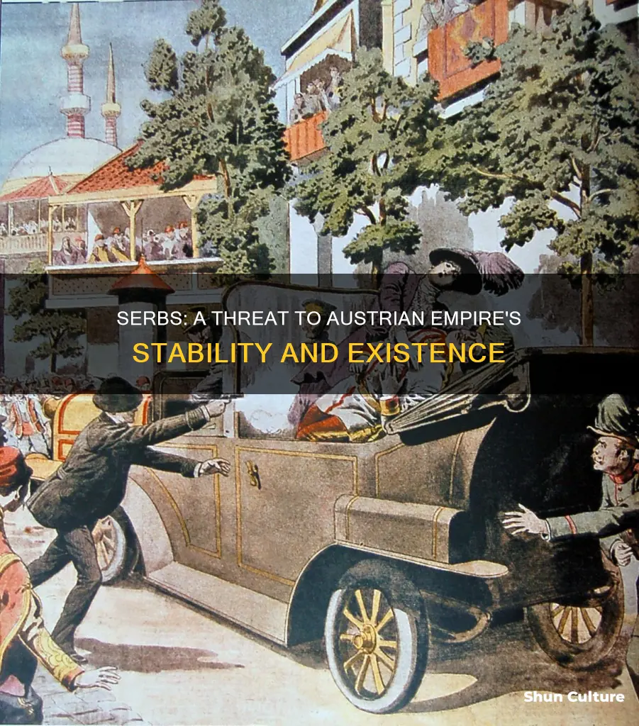 why were the serbs dangerous to the austrian empire