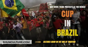 Brazil World Cup Protests: Unraveling the Social and Economic Grievances