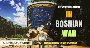 Bosnian War's Silent Witnesses: The Symbolic Role of Planted Trees