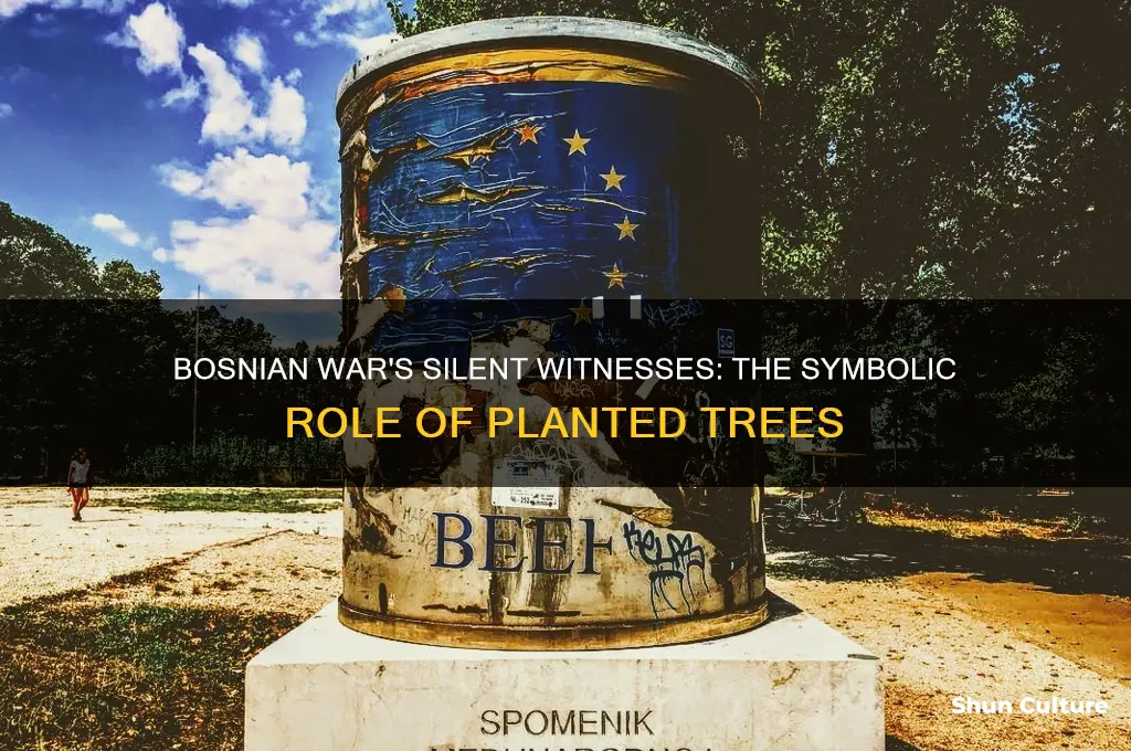 why were trees planted in bosnian war