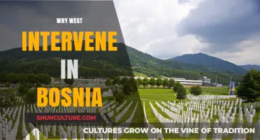 Why the West Intervened in Bosnia: Unraveling the Complex Motives